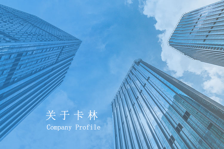 卡林新能源公司介紹