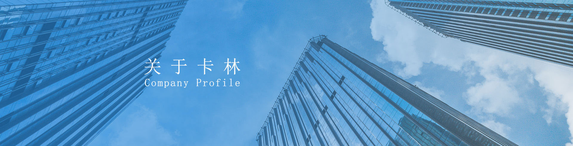 卡林新能源公司介紹